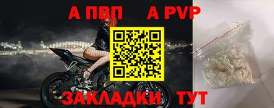 СК Новодвинск
