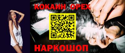 СК Новодвинск