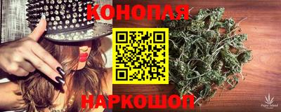 СК Новодвинск