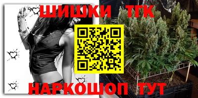 СК Новодвинск
