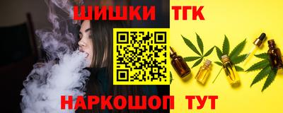 СК Новодвинск
