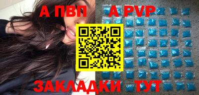 СК Новодвинск