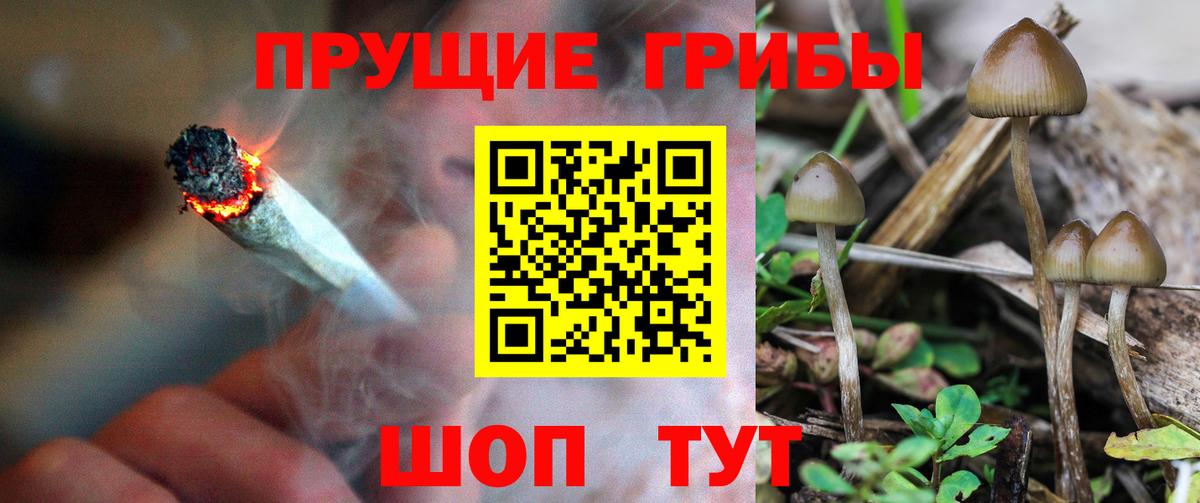 Псилоцибиновые грибы мицелий  Галлюциногенные грибы ЛСД  Вход с VPN  Оренбург 